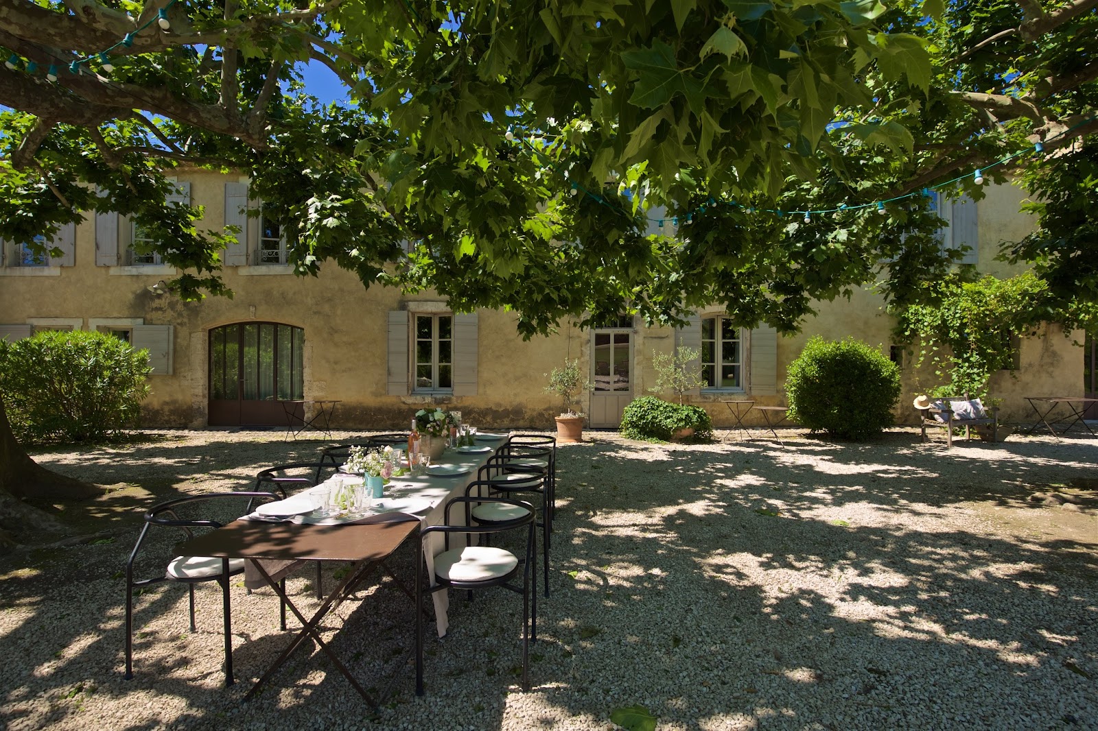 Déjeuner sous les platanes