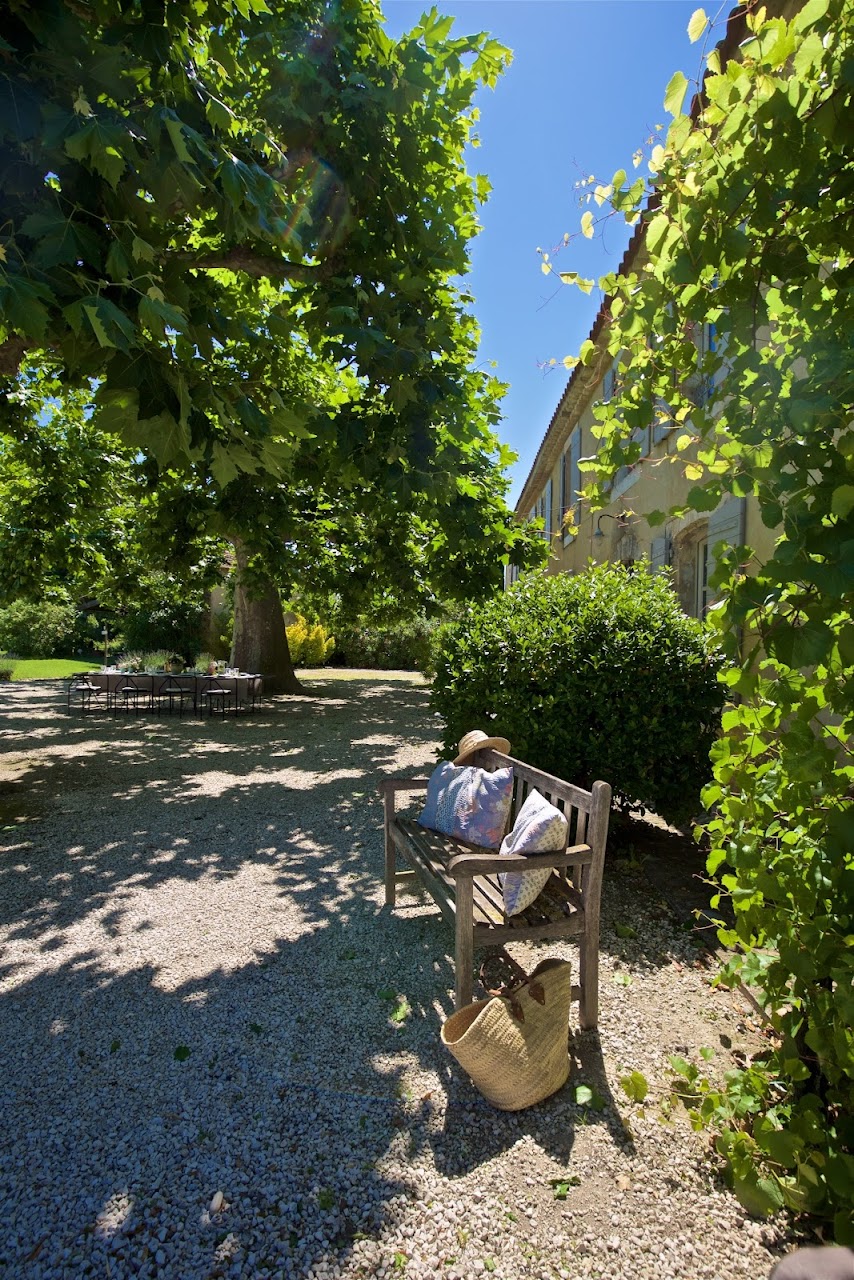 Lecture sous les platanes