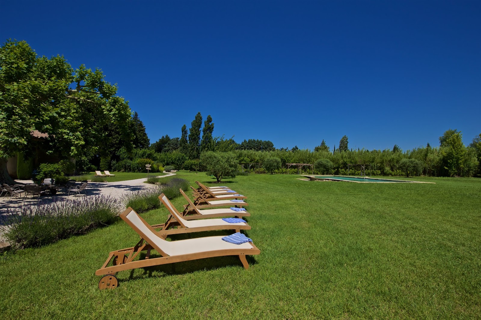 Bains de soleil dans le parc