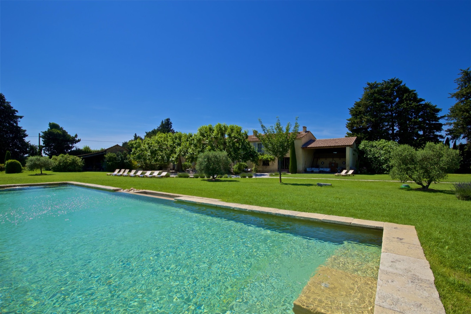 Piscine et jardin ensoleillé