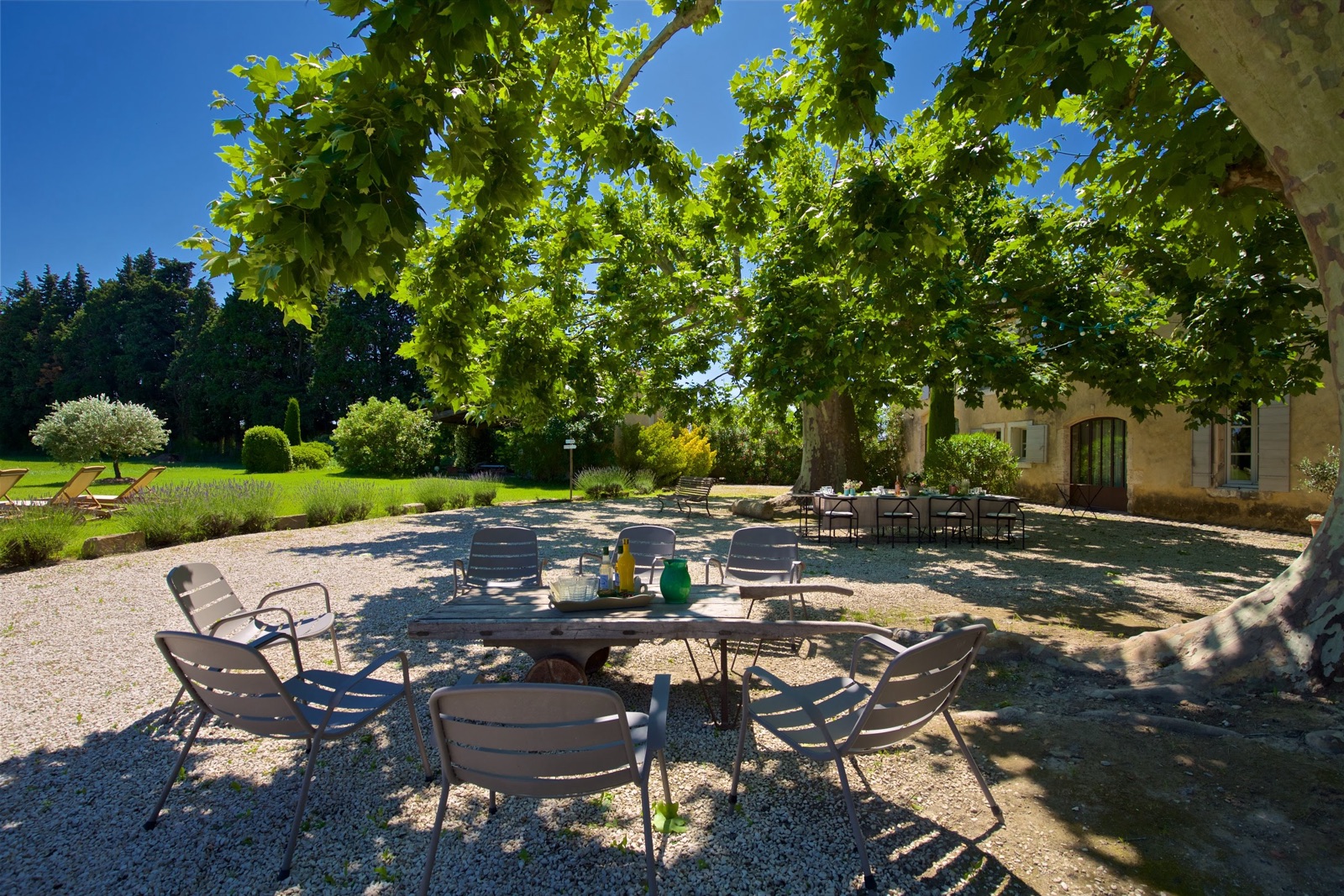 Table dressée sous les platanes