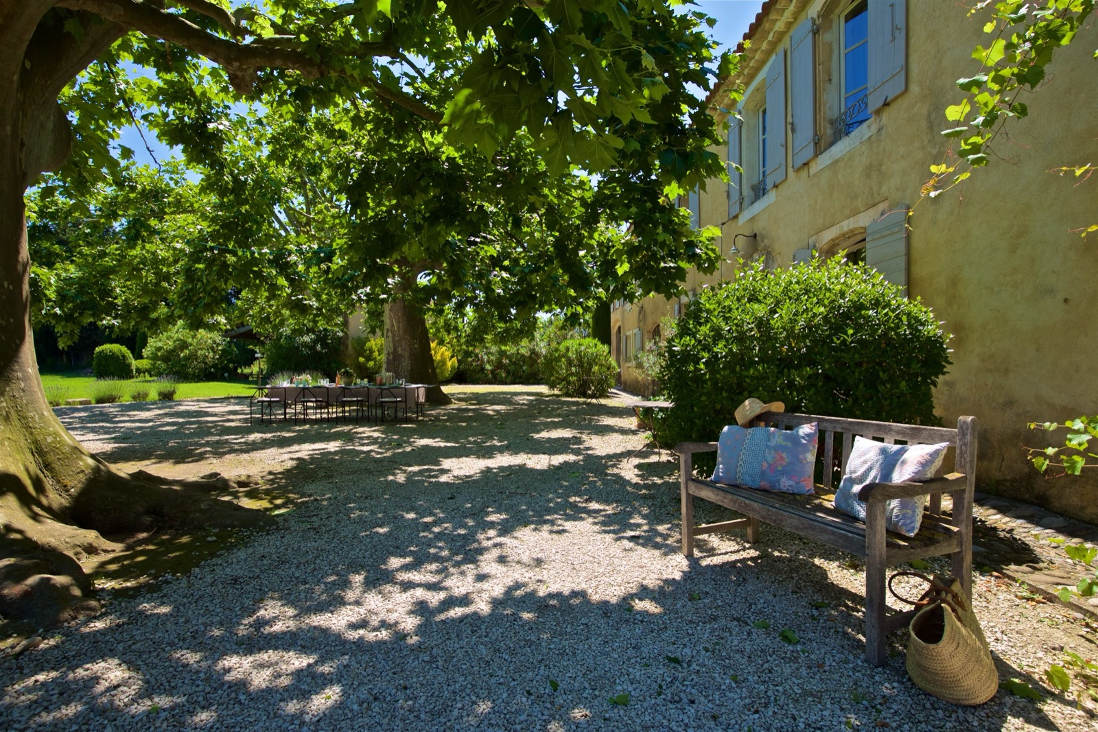 Ombre fraîche sous les platanes